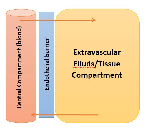 drug distribution