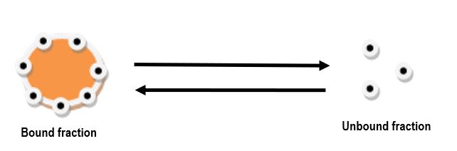 plasma protein binding