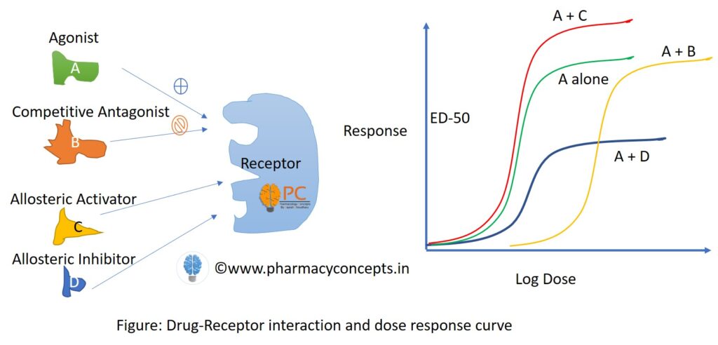 dose response relationship