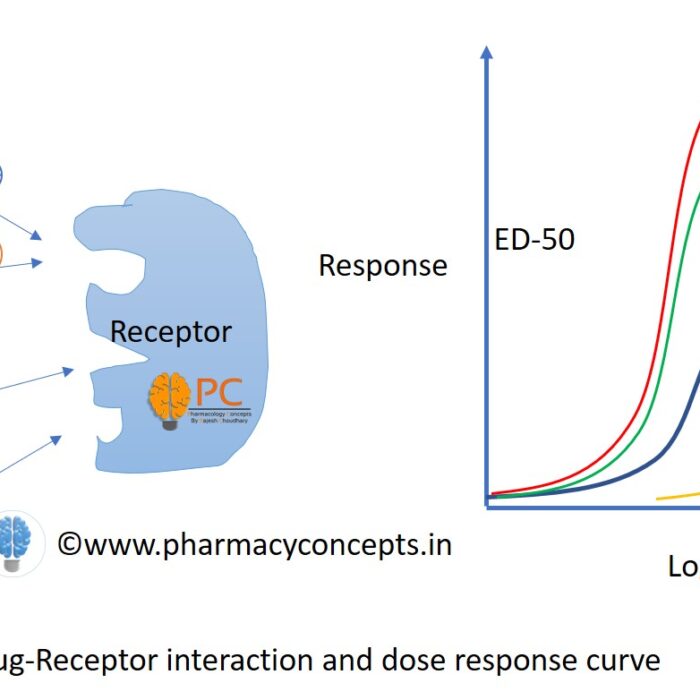 dose response relationship