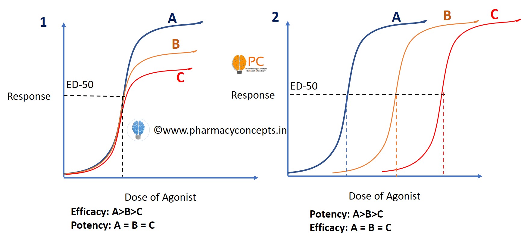 potency and efficacy